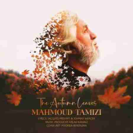 محمود تمیزی برگ های پاییزی Mahmoud Tamizi Autumn Leaves