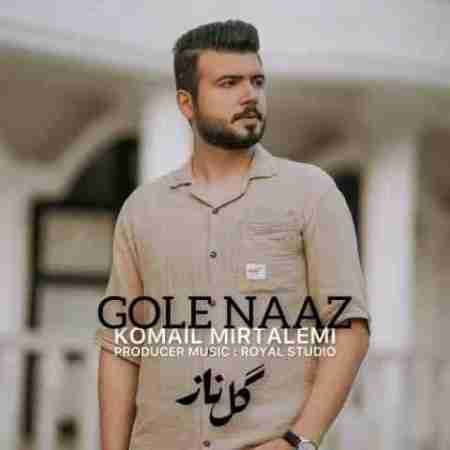دانلود آهنگ های کمیل میرطالمی