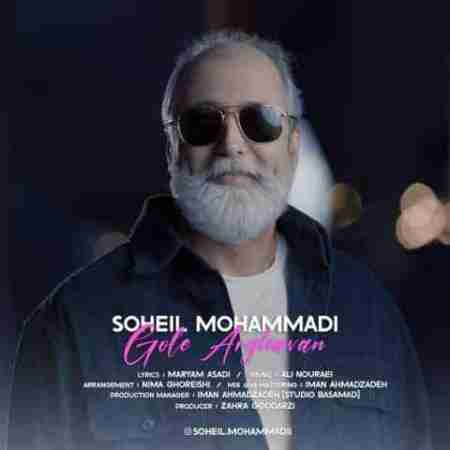 سهیل محمدی گل ارغوان Soheil Mohammadi Gole Arghavan