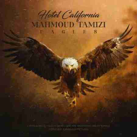 محمود تمیزی هتل کالیفرنیا Mahmoud Tamizi Hotel California