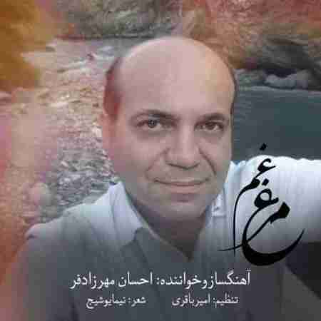 دانلود آهنگ های احسان مهرزادفر