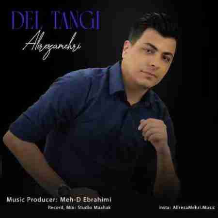 دانلود آهنگ های علیرضا مهری