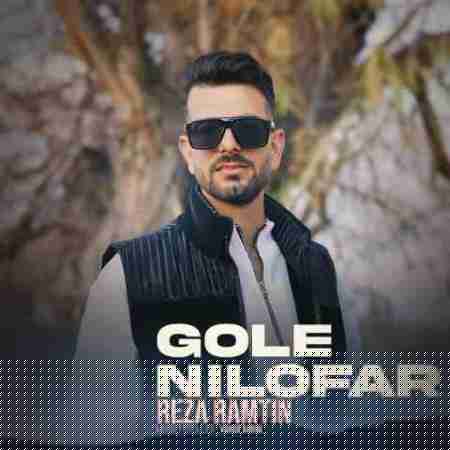 رضا رامتین گل نیلوفر Reza Ramtin Gole Niloofar