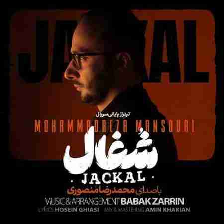 محمدرضا منصوری شغال Mohammadreza Mansouri Jackal